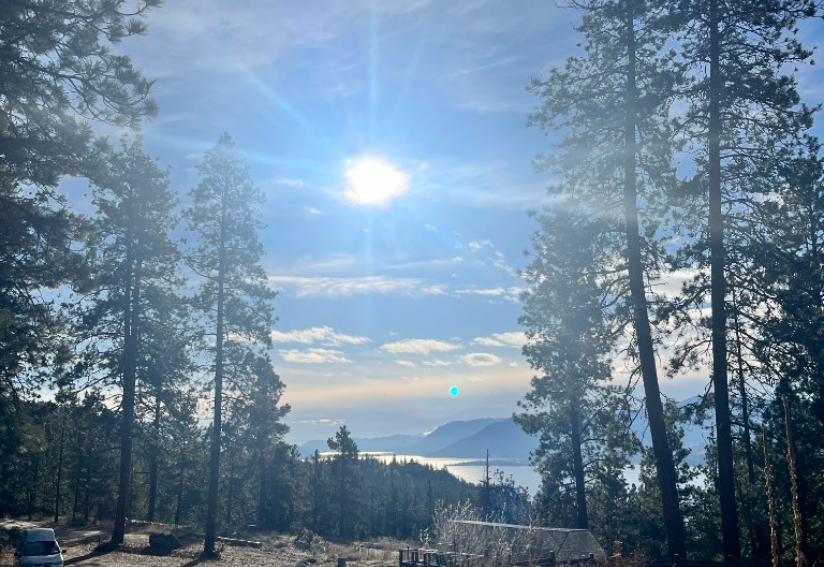 Sunburst over Okanagan Lake framed by ponderosa pines