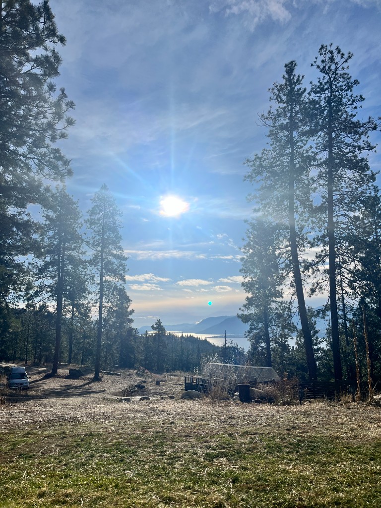 Sunburst over Okanagan Lake framed by ponderosa pines