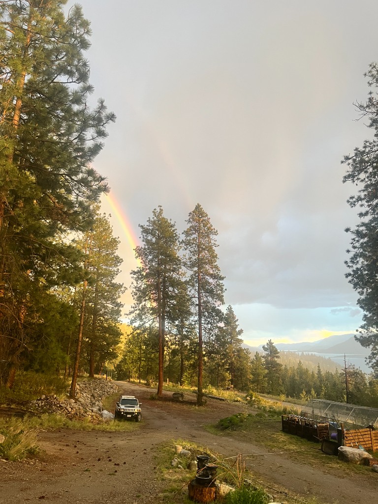 Rainbow over the driveway, garden, and lake view