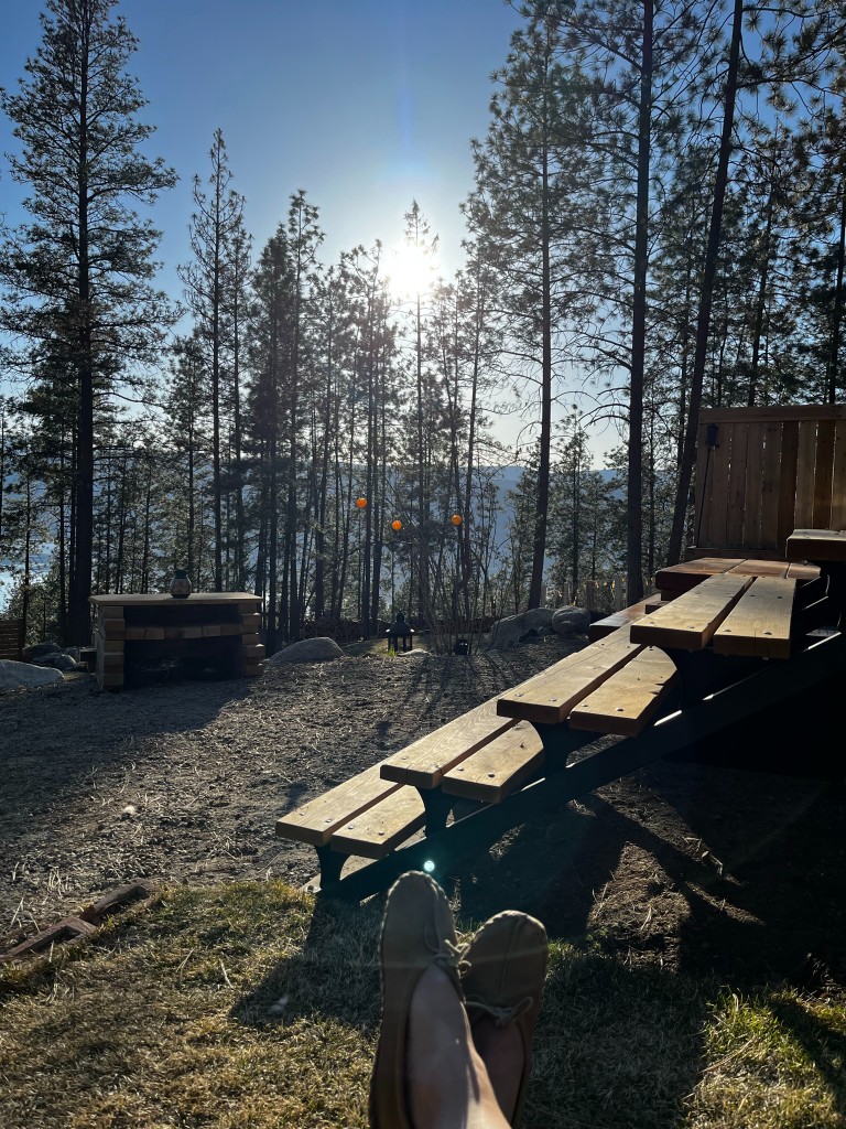 First-person view of lake light through the pines from the seating steps
