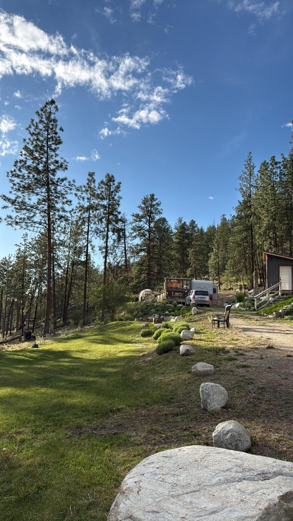 Mowed lawn, rock-lined drive, RV setup, and cabin among the pines