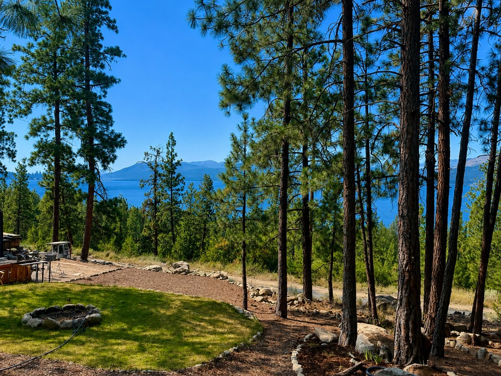 Lake view and multiple build spots through the pines at 6447 Chute Lake Road