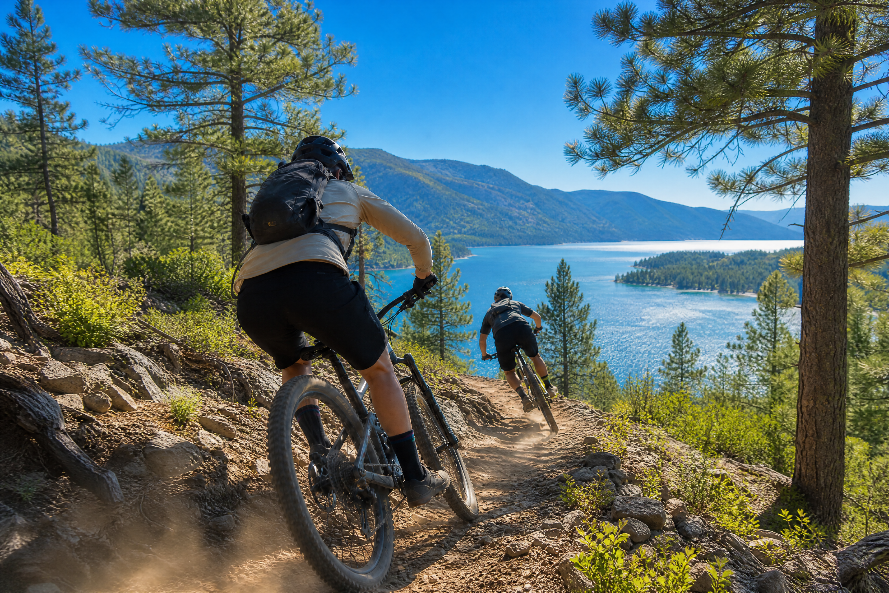 Mountain bikers on a pine-forest trail